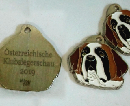 Médaille gravée pour chien Saint-Bernard
